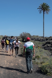 Lanzarote territorio científico. 17-11-22_38