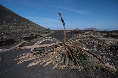 Lanzarote territorio científico. 17-11-22_39