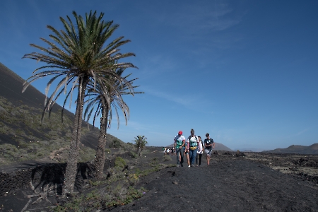 Lanzarote territorio científico. 17-11-22_40