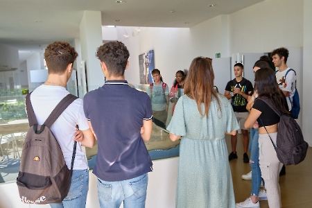Visita guiada al ITER- proyecto europeo MACLAB-PV. Tenerife.17-11-22_19