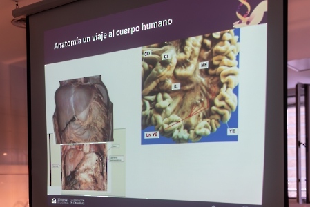 Anatomía: un apasionante viaje al cuerpo humano. ULPGC. 17-11-2023_4