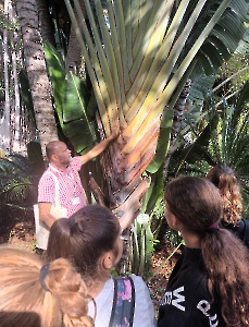 Una visita a la ciencia a través de las plantas del Jardín de Aclimatación de La Orotava (JAO)