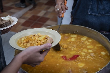 IX Potaje científico: gavias y el camello canario