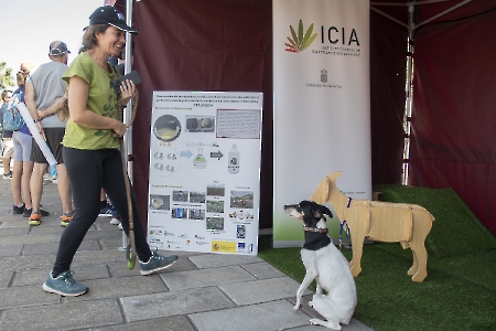 XXI Feria Ciencia Orotava 2024. Tenerife. 10-11-24_26