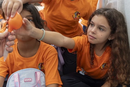 Muestra de Ciencia, Arte y Tecnología de Granadilla de Abona (MUCAT)_18