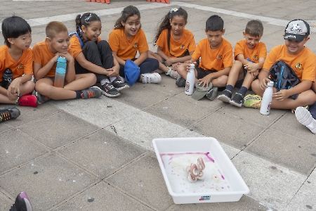 Muestra de Ciencia, Arte y Tecnología de Granadilla de Abona (MUCAT)_22