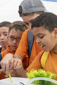 Muestra de Ciencia, Arte y Tecnología de Granadilla de Abona (MUCAT)_28