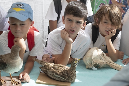 Muestra de Ciencia, Arte y Tecnología de Granadilla de Abona (MUCAT)_48