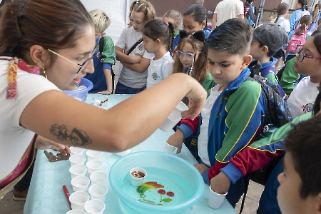 Muestra de Ciencia, Arte y Tecnología de Granadilla de Abona (MUCAT)_7
